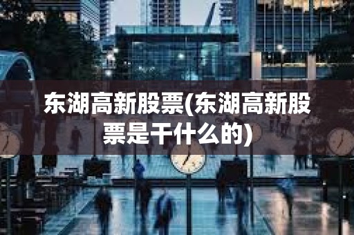 東湖高新股票(東湖高新股票是干什么的)