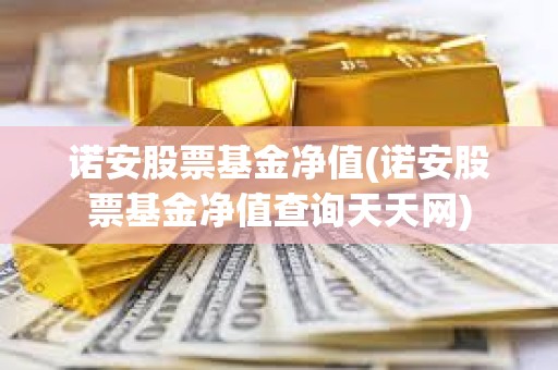 諾安股票基金凈值(諾安股票基金凈值查詢天天網)