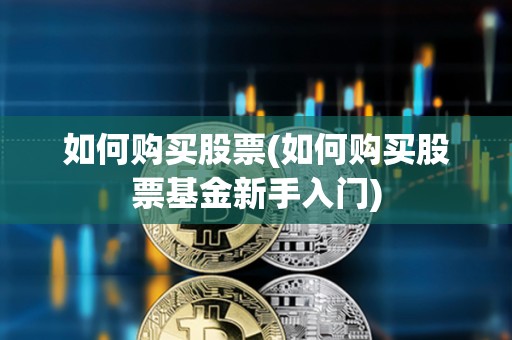 如何購買股票(如何購買股票基金新手入門)