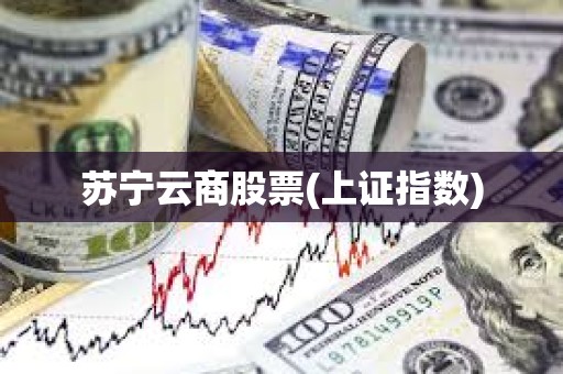 蘇寧云商股票(上證指數) 蘇寧云商股票(上證指數)