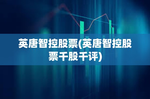 英唐智控股票(英唐智控股票千股千評)