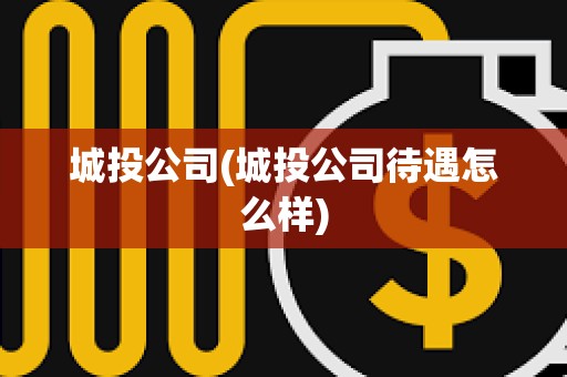 城投公司(城投公司待遇怎么樣)