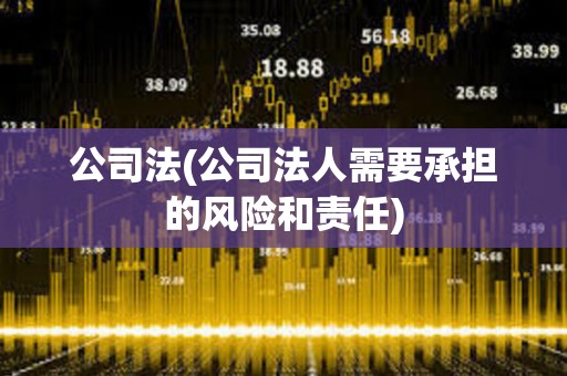 公司法(公司法人需要承擔(dān)的風(fēng)險和責(zé)任) 公司法(公司法人需要承擔(dān)的風(fēng)險和責(zé)任)