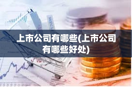 上市公司有哪些(上市公司有哪些好處)