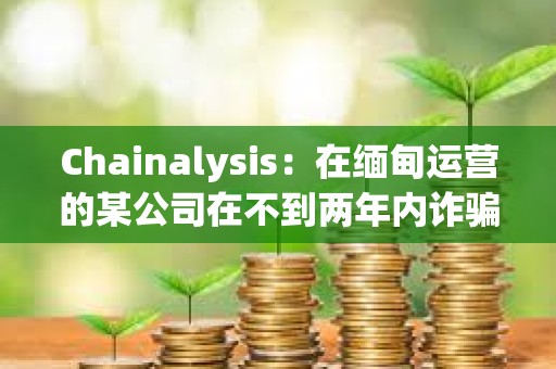 Chainalysis：在緬甸運營的某公司在不到兩年內詐騙1億多美元，并利用USDT轉移資金