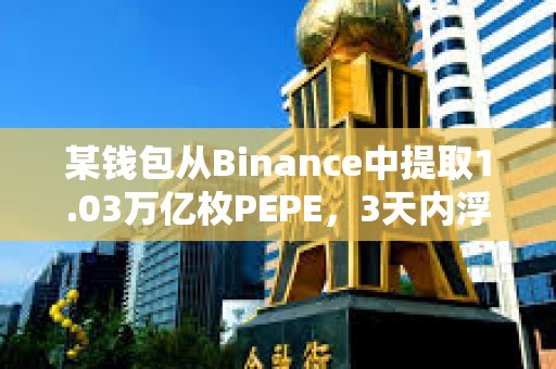 某錢包從Binance中提取1.03萬億枚PEPE，3天內(nèi)浮盈134萬美元