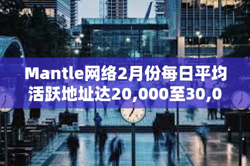 Mantle網(wǎng)絡(luò)2月份每日平均活躍地址達(dá)20,000至30,000個