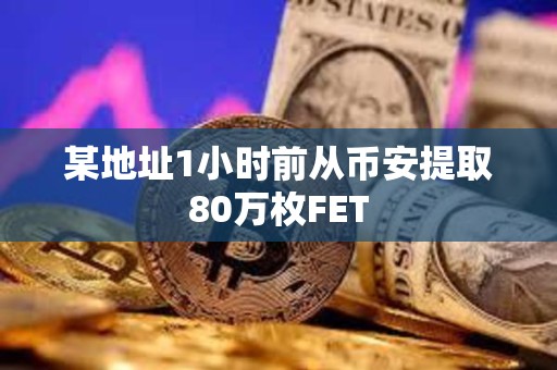 某地址1小時前從幣安提取80萬枚FET
