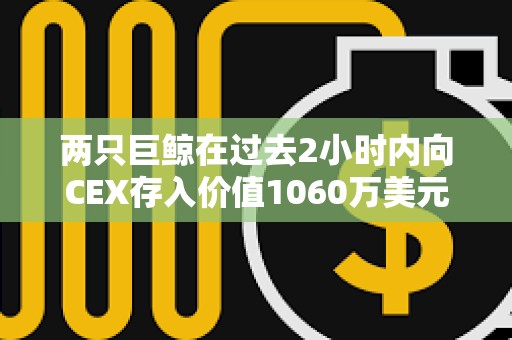 兩只巨鯨在過去2小時內向CEX存入價值1060萬美元的SHIB和PEPE