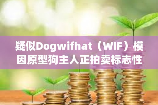 疑似Dogwifhat（WIF）模因原型狗主人正拍賣標志性照片NFT