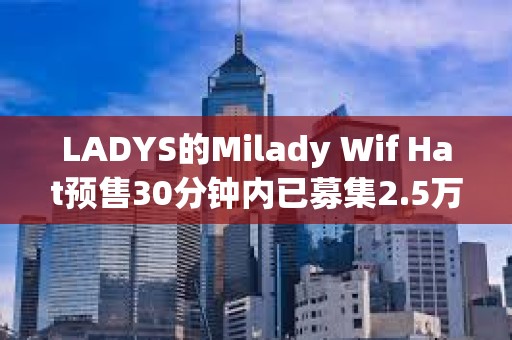 LADYS的Milady Wif Hat預售30分鐘內已募集2.5萬枚SOL