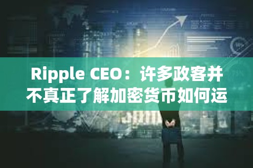 Ripple CEO：許多政客并不真正了解加密貨幣如何運作