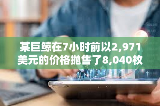 某巨鯨在7小時(shí)前以2,971美元的價(jià)格拋售了8,040枚ETH 某巨鯨在7小時(shí)前以2,971美元的價(jià)格拋售了8,040枚ETH