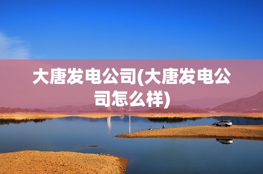 大唐發電公司(大唐發電公司怎么樣)