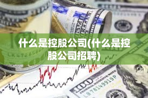 什么是控股公司(什么是控股公司招聘)