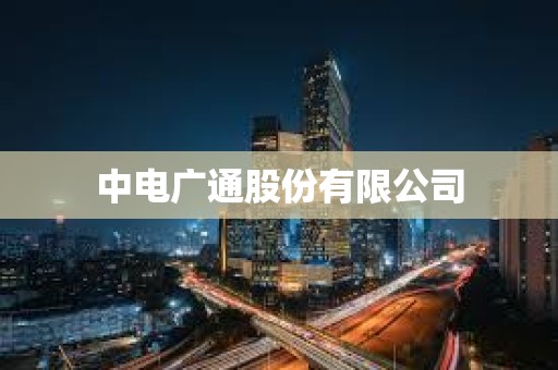 中電廣通股份有限公司 中電廣通股份有限公司