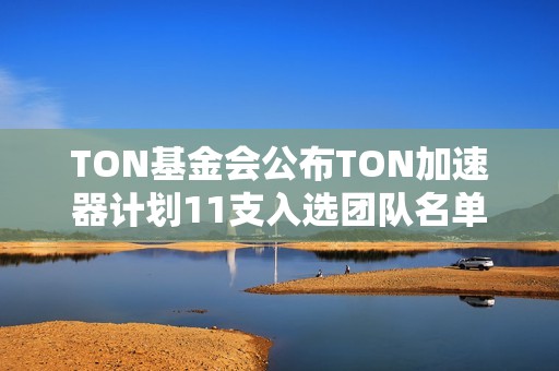 TON基金會公布TON加速器計劃11支入選團隊名單