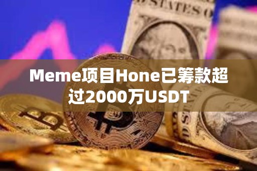 Meme項目Hone已籌款超過2000萬USDT