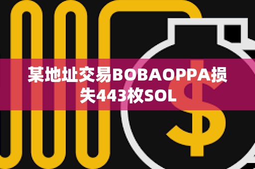 某地址交易BOBAOPPA損失443枚SOL