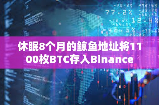 休眠8個(gè)月的鯨魚(yú)地址將1100枚BTC存入Binance