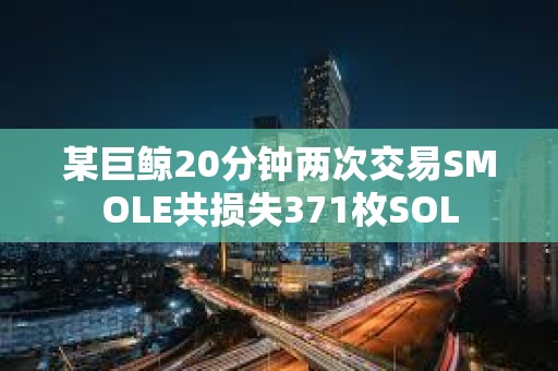某巨鯨20分鐘兩次交易SMOLE共損失371枚SOL