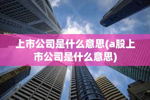 上市公司是什么意思(a股上市公司是什么意思)