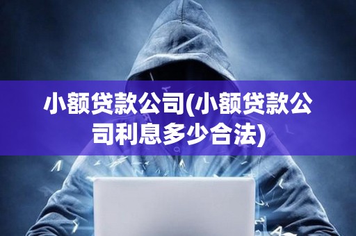 小額貸款公司(小額貸款公司利息多少合法) 小額貸款公司(小額貸款公司利息多少合法)