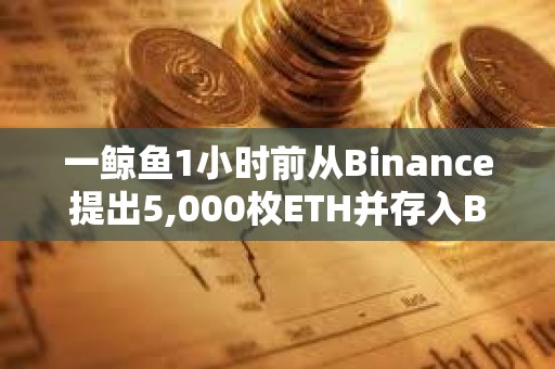 一鯨魚(yú)1小時(shí)前從Binance提出5,000枚ETH并存入Blast