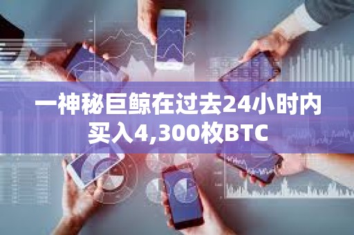 一神秘巨鯨在過去24小時內買入4,300枚BTC