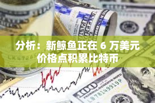 分析：新鯨魚正在 6 萬美元價格點積累比特幣