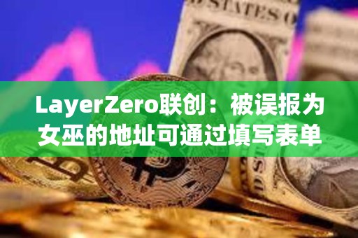 LayerZero聯創：被誤報為女巫的地址可通過填寫表單進行申訴