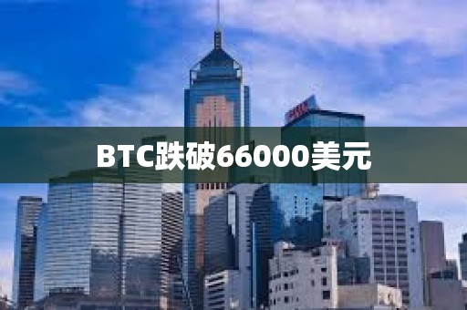 BTC跌破66000美元