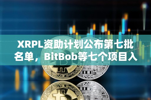 XRPL資助計劃公布第七批名單，BitBob等七個項目入選