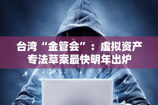 臺灣“金管會”：虛擬資產專法草案最快明年出爐