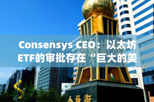 Consensys CEO：以太坊ETF的審批存在“巨大的美國政治問題”