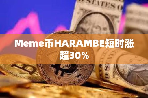 Meme幣HARAMBE短時漲超30%