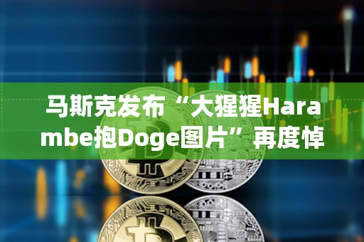 馬斯克發布“大猩猩Harambe抱Doge圖片”再度悼念DOGE原型柴犬KABOSU