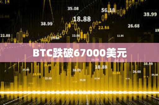 BTC跌破67000美元