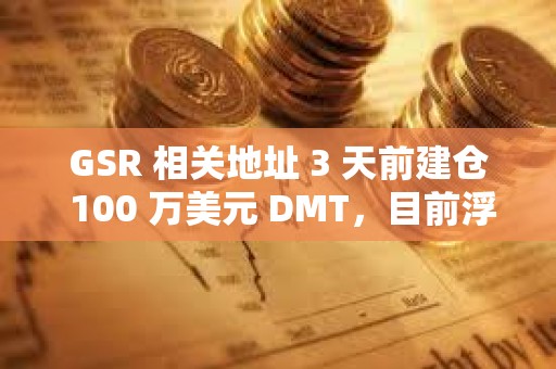 GSR 相關地址 3 天前建倉 100 萬美元 DMT，目前浮盈 24%