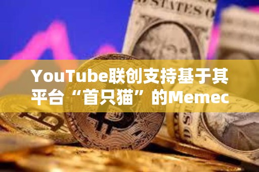 YouTube聯創支持基于其平臺“首只貓”的Memecoin