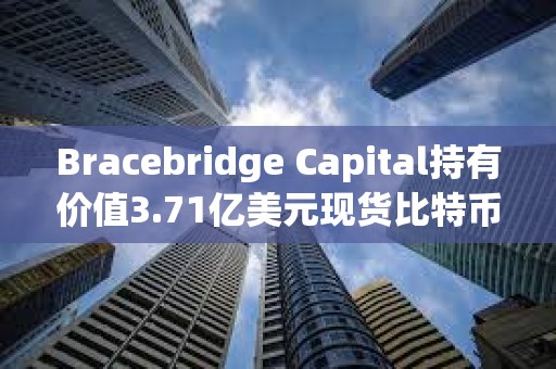 Bracebridge Capital持有價值3.71億美元現貨比特幣ETF，系IBIT和ARKB頭號持有人