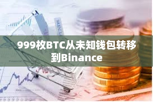 999枚BTC從未知錢包轉移到Binance