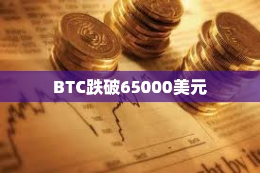 BTC跌破65000美元