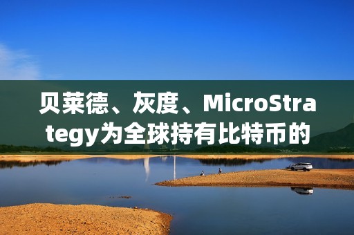 貝萊德、灰度、MicroStrategy為全球持有比特幣的前三大公司