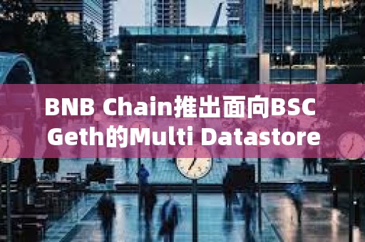 BNB Chain推出面向BSC Geth的Multi Datastore，可分割數(shù)據(jù)庫