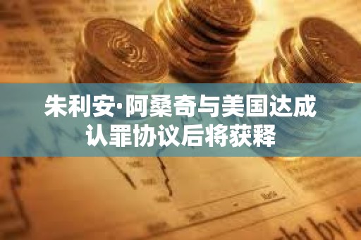 朱利安·阿桑奇與美國達(dá)成認(rèn)罪協(xié)議后將獲釋