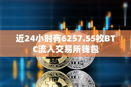 近24小時有6257.55枚BTC流入交易所錢包