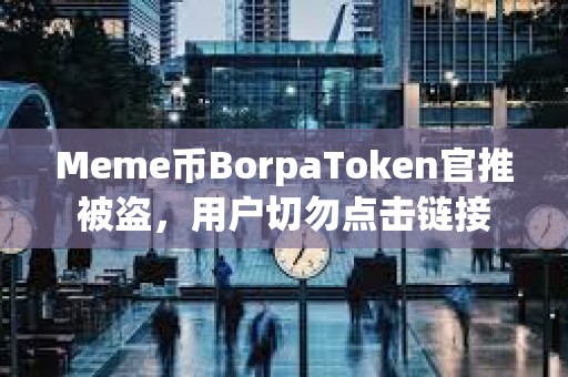 Meme幣BorpaToken官推被盜，用戶切勿點擊鏈接
