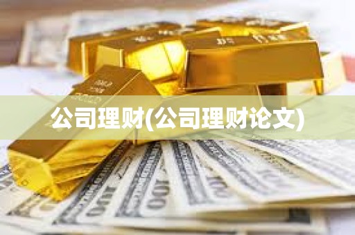 公司理財(公司理財論文)