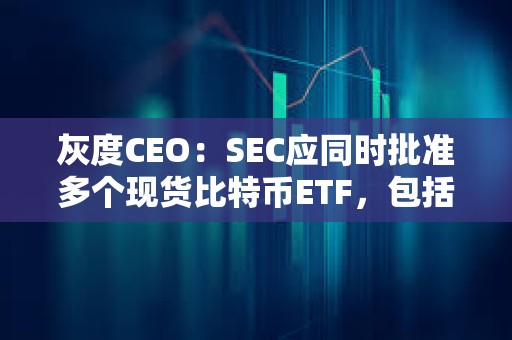 灰度CEO：SEC應同時批準多個現貨比特幣ETF，包括批準GBTC轉換